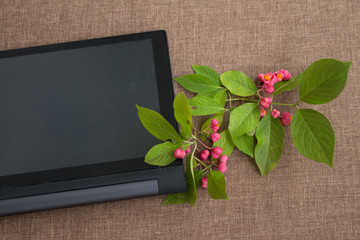 flowering branch on the desktop with  tablet computer with a blank screen.
