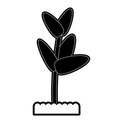 plant in pot icon image vector illustration design  black and white