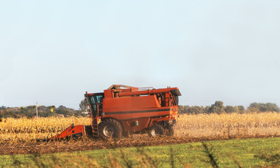 Obraz premium Harvesting combines in a wheat field