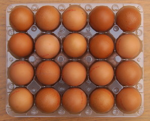 Fresh chicken eggs in plastic package - background