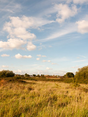 summer lush meadow grassland scene outside with houses in far distance