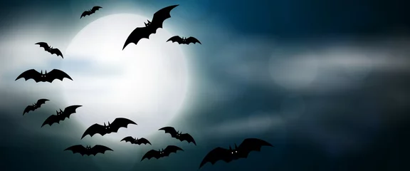 Zelfklevend Fotobehang Night, full moon and bats, horizontal banner. Colorful scary Halloween illustration. Vector © DruZhi Art
