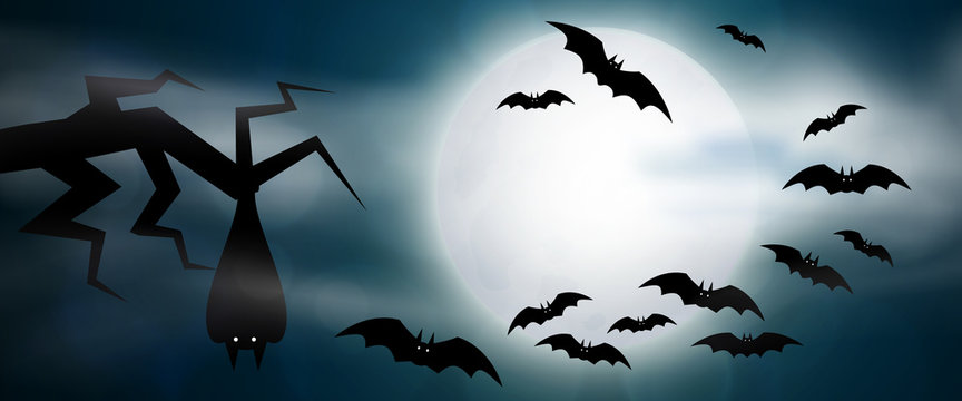 Night, full moon and bats, horizontal banner. Colorful scary Halloween illustration. Vector