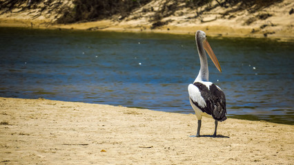 Byron Bay vibes, beaches, surf and sunsets