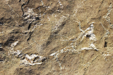 texture of the stone with white veins. presumably travertine, gneiss or granite