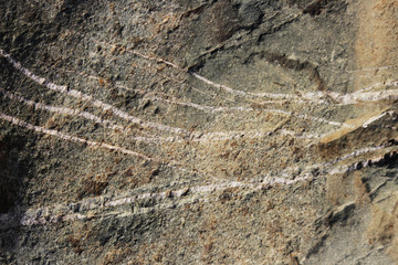 texture of the stone with white veins. presumably travertine, gneiss or granite