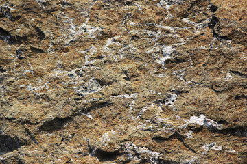 texture of the stone with white veins. presumably travertine, gneiss or granite