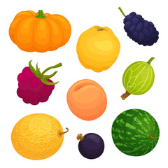 A set of fruits and berries on a white background. Vector icons of various fruits.