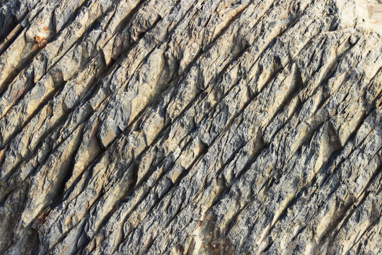 texture of the stone with white veins. presumably shale rock.