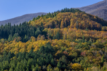 The Tuscan-Emilian Apennines painted with the typical autumn colors on a sunny day in the area of Cutigliano, Abetone, Pistoia, Italy