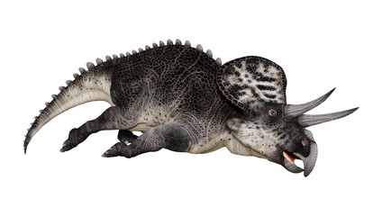 3D Rendering Dinosaur Zuniceratops on White
