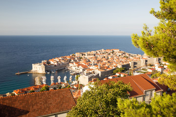 Obraz premium The old town and the port of Dubrovnik in the early summer morning. Croatia