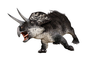 3D Rendering Dinosaur Zuniceratops on White