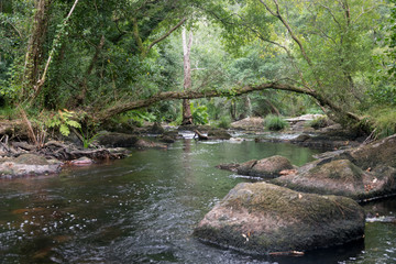 Obraz premium El encanto de la Ribeira Sacra