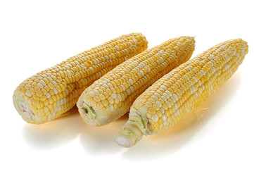 Corn
