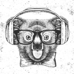 Hipster animal koala. Hand drawing Muzzle of koala © annbozhko
