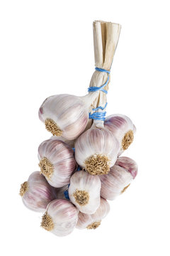 Bunch of garlic Violet braid on a white background
