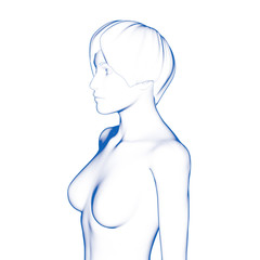 Female Body Shape, Upper Body
