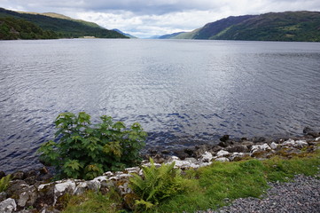 Lago Ness, Escocia, verdoso