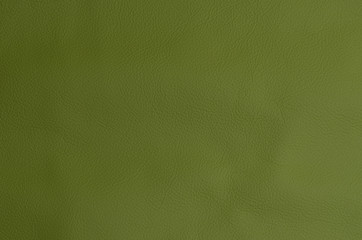 Leder Apfelgrün