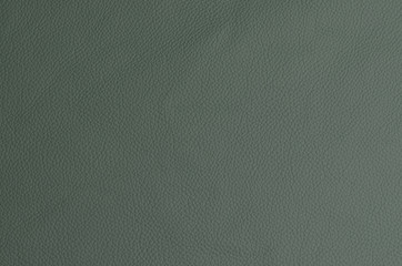 Leder wiesengrün