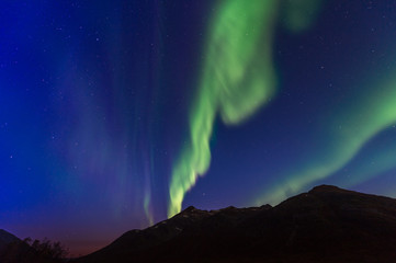 Fototapeta na wymiar the polar lights over the city of Tromso