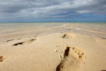 Foot print to the ocean, Monkey Mia