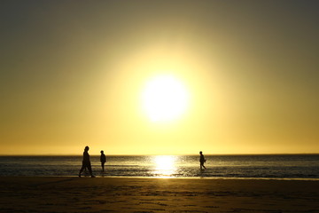 Fototapeta premium Sunset at beach, Australia