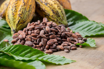 Raw Cocoa beans and cocoa pod on a wooden surface