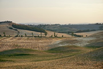 Fototapeta premium Crete Senesi