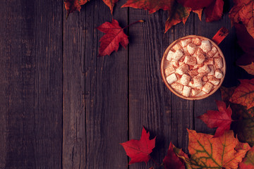 Autumn background with hot chocolate, knitted scarf, multi-colored leaves.