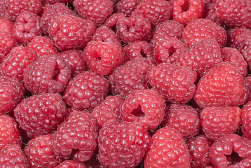 Background of fresh juicy raspberries closeup