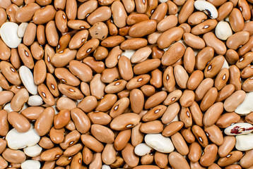 Background of kidney bean seeds