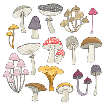 Set with mushrooms. Freehand drawing. Can be used for scrapbook, postcards, print and etc.
