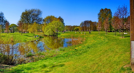 Panoramic view of park and small river 