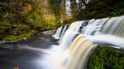 Long exposure of a waterfall (Sgwd Y Pannwr) in a tree covered forest in the autumn - obrazy, fototapety, plakaty