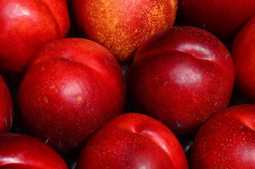 Nectarine,Nectarines