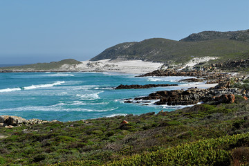 Fototapeta na wymiar Impressions of the coast on the Cape of Good Hope, South Africa