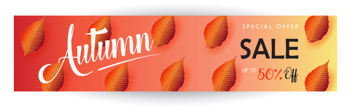 Thanksgiving sale web banner. Autumn Sale discount gift card. Fall maple leaves abstract background. Save up to half price. Shop whole sale coupon & discover up to 50% off text web banner vector.