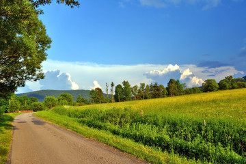 
Country road in rural landscape of Beskid Niski, Poland, - obrazy, fototapety, plakaty