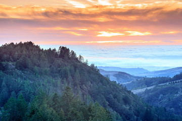 Fire and Ice. Vibrant Skies Above Foggy Pacific Ocean in Santa Cruz Mountains. Purisima Creek Redwoods, Woodside, San Mateo County, California, USA.