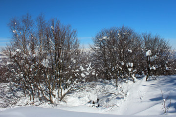 Neve paesaggio invernale