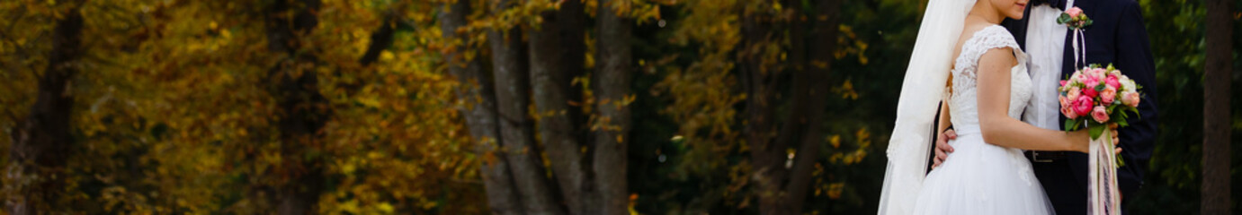 Luxury married wedding couple bride and groom posing in park autumn