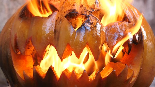 Halloween. Burning Infernal Pumpkin.