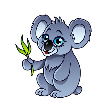 Cartoon koala isolated vector illustration