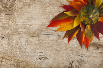 colorful autumn leaves with pumpkin on wood plate can be used as background for your text