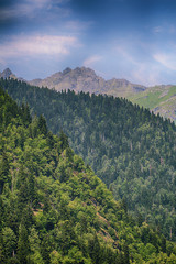 Горы в Абхазии