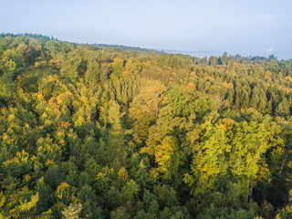 Fototapeta premium erial view of forest in morning light during sunrise