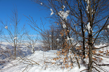 Inverno sulle Alpi Italiane