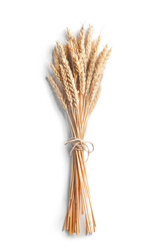 Ripe wheat on white background